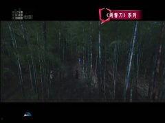 国产精品大陆在视频,影视盛宴,展现中国魅力